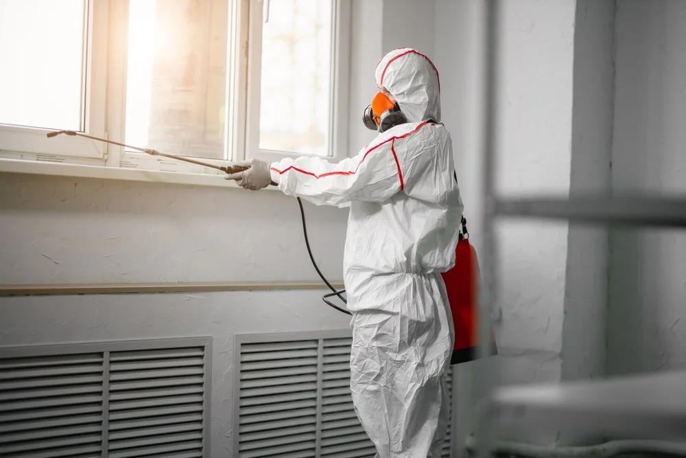 Professional mold remediation services in Clarkesville, GA